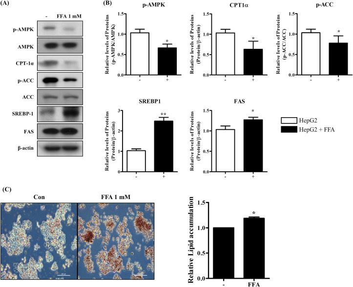 https://cdn.ncbi.nlm.nih.gov/pmc/blobs/e1e6/6736789/ea9fed300a52/gr1.jpg