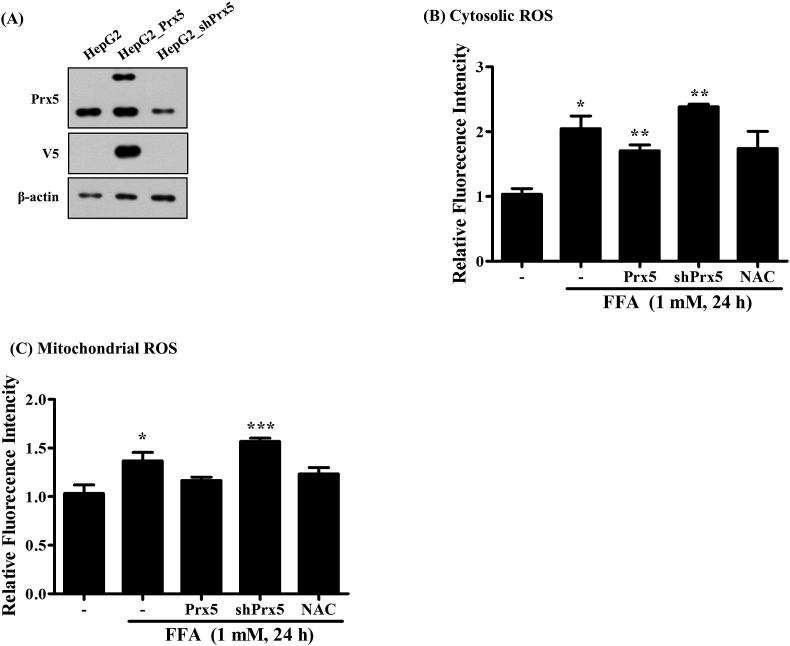 https://cdn.ncbi.nlm.nih.gov/pmc/blobs/e1e6/6736789/f72239890cf9/gr3.jpg