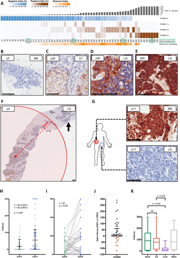 https://cdn.ncbi.nlm.nih.gov/pmc/blobs/e1e8/6853166/a2f8ca06346b/gr2.jpg