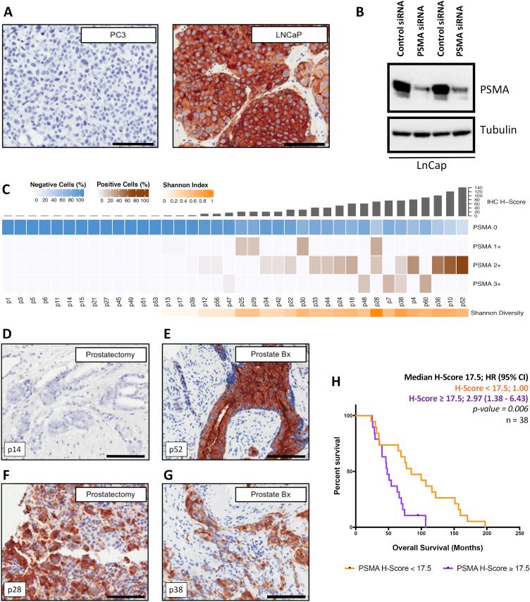 https://cdn.ncbi.nlm.nih.gov/pmc/blobs/e1e8/6853166/bb56796350c5/gr1.jpg