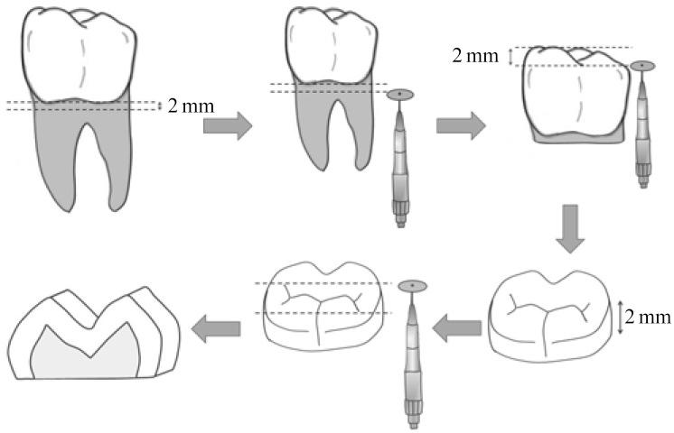 https://cdn.ncbi.nlm.nih.gov/pmc/blobs/e1e9/3784673/a8e0ec521d06/isd-43-145-g001.jpg