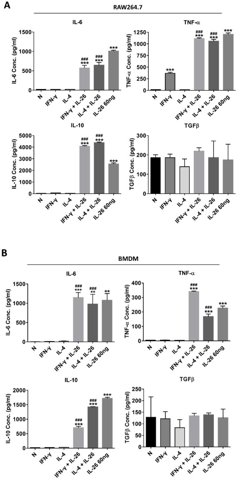 https://cdn.ncbi.nlm.nih.gov/pmc/blobs/e1e9/7227026/4c6344ea7c6c/cells-09-00938-g003a.jpg