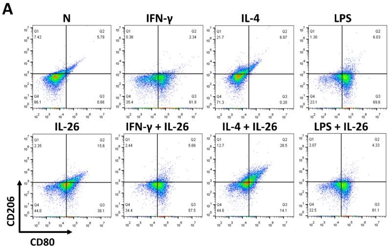 https://cdn.ncbi.nlm.nih.gov/pmc/blobs/e1e9/7227026/f5bb50507133/cells-09-00938-g001a.jpg