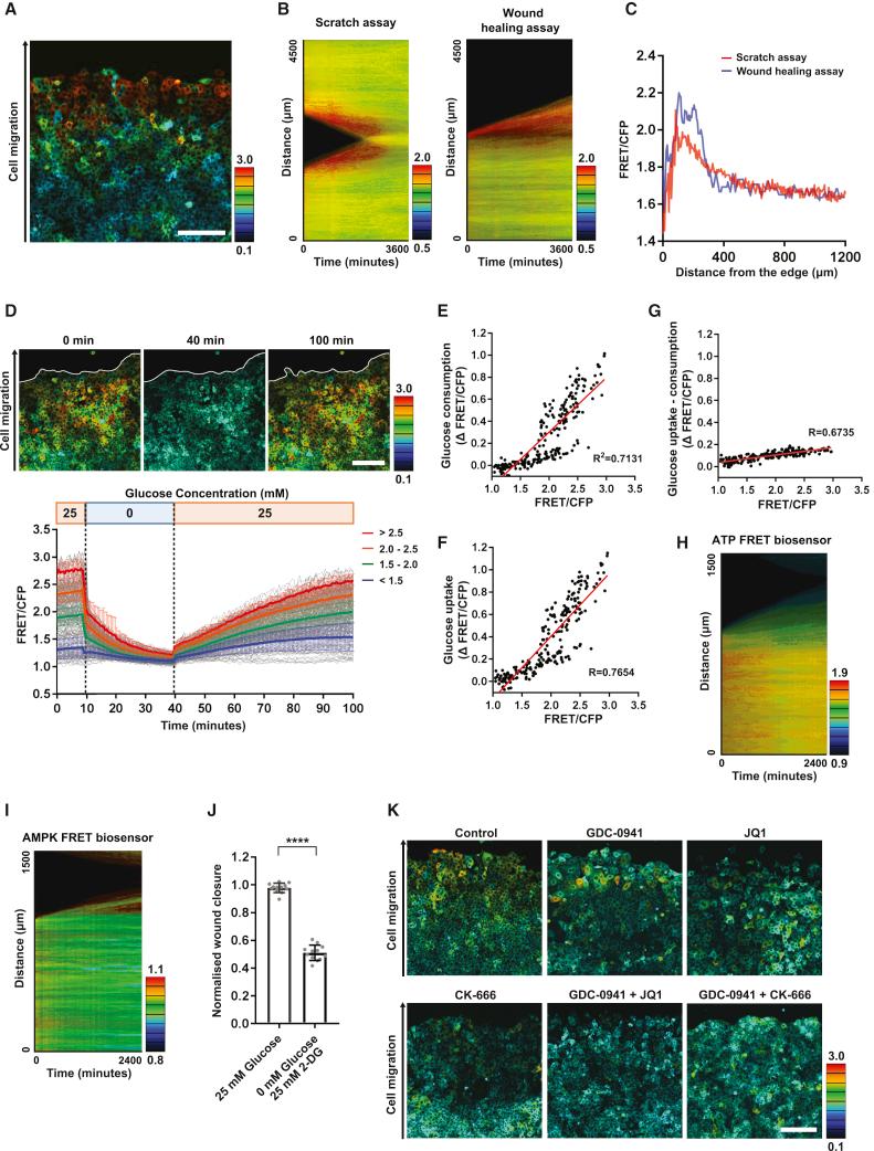 https://cdn.ncbi.nlm.nih.gov/pmc/blobs/e1eb/7900713/16836a1ca814/gr7.jpg