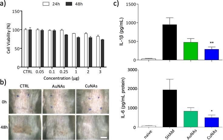 https://cdn.ncbi.nlm.nih.gov/pmc/blobs/e1ec/9926901/ec76c3d20dfb/d2na00786j-f2.jpg