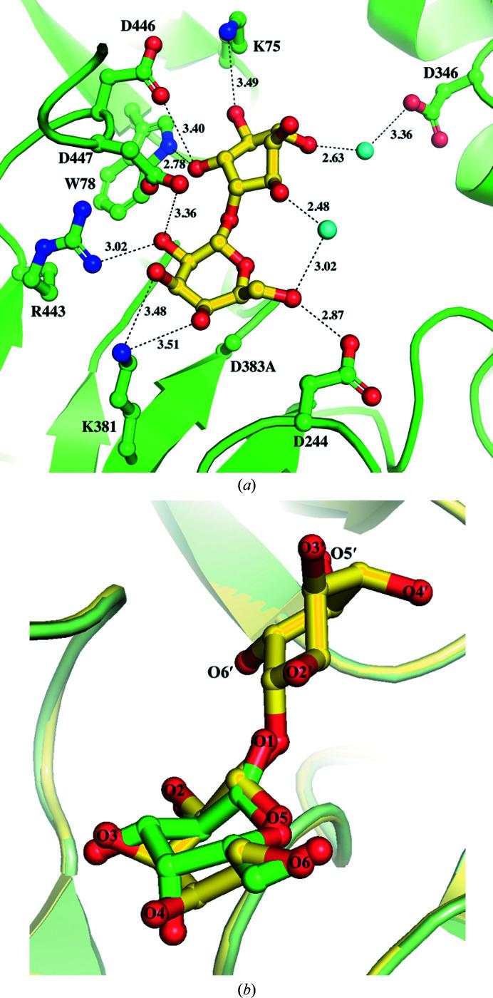 https://cdn.ncbi.nlm.nih.gov/pmc/blobs/e1ed/9912918/ede0d4b5d127/d-79-00154-fig2.jpg