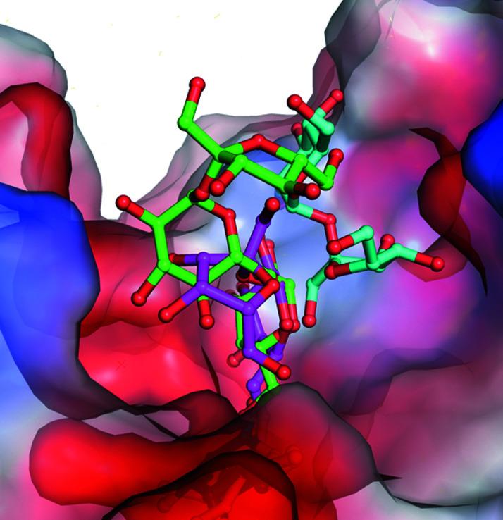 https://cdn.ncbi.nlm.nih.gov/pmc/blobs/e1ed/9912918/ff2be522ec1b/d-79-00154-fig8.jpg