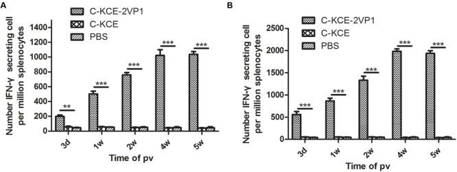 https://cdn.ncbi.nlm.nih.gov/pmc/blobs/e1ee/5056193/df2e758355f2/fmicb-07-01613-g005.jpg