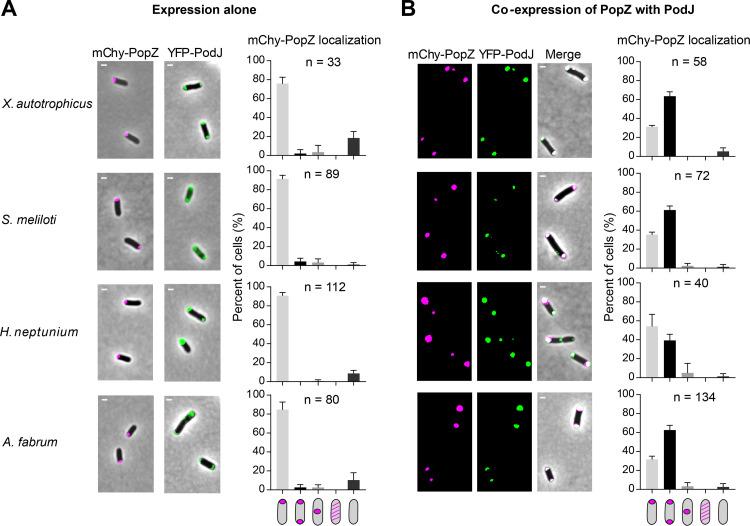 https://cdn.ncbi.nlm.nih.gov/pmc/blobs/e1f0/10127582/aa3694beb071/mbio.03218-22-f005.jpg