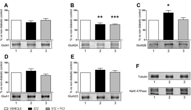 https://cdn.ncbi.nlm.nih.gov/pmc/blobs/e1f1/4701417/157cc6d8adda/pone.0146259.g005.jpg