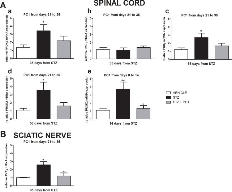 https://cdn.ncbi.nlm.nih.gov/pmc/blobs/e1f1/4701417/453b1ec107e2/pone.0146259.g004.jpg