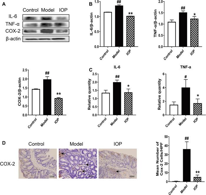 https://cdn.ncbi.nlm.nih.gov/pmc/blobs/e1f1/7884887/4585ba8c9e78/fphar-11-621835-g002.jpg