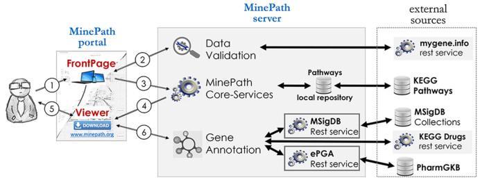 https://cdn.ncbi.nlm.nih.gov/pmc/blobs/e1f2/5570234/9b22e8edfe2d/gkx278fig1.jpg