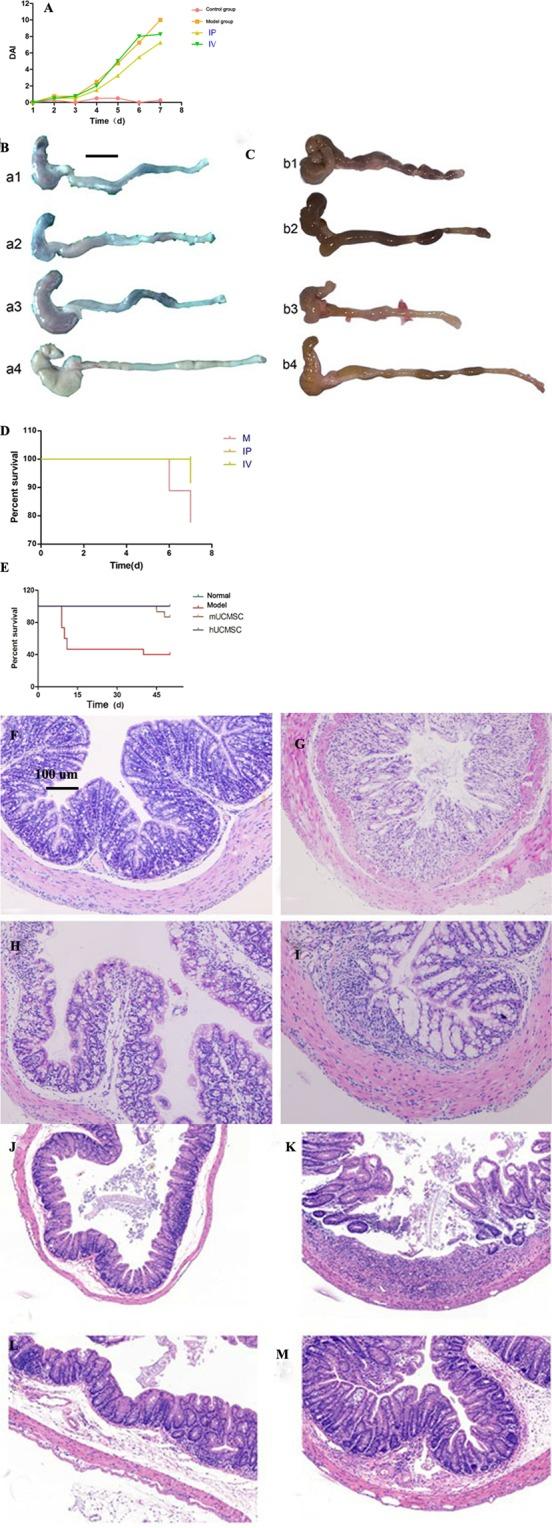 https://cdn.ncbi.nlm.nih.gov/pmc/blobs/e1f2/6881332/e94d9ae3d038/41598_2019_54194_Fig3_HTML.jpg