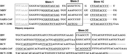https://cdn.ncbi.nlm.nih.gov/pmc/blobs/e1f4/1182165/a6456015931b/gki731f1.jpg