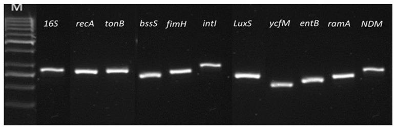 https://cdn.ncbi.nlm.nih.gov/pmc/blobs/e1f4/9024719/99ef8b20459e/ijerph-19-04788-g010.jpg