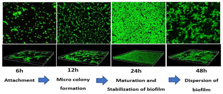 https://cdn.ncbi.nlm.nih.gov/pmc/blobs/e1f4/9024719/ffcbe63dd669/ijerph-19-04788-g007.jpg