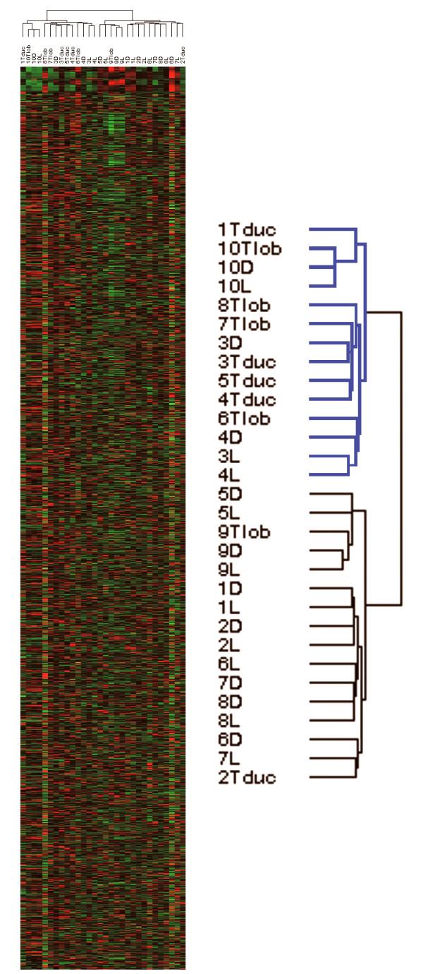 https://cdn.ncbi.nlm.nih.gov/pmc/blobs/e1f5/1852112/63f47d861db7/1471-2407-7-55-1.jpg