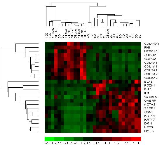 https://cdn.ncbi.nlm.nih.gov/pmc/blobs/e1f5/1852112/c3f98c08573f/1471-2407-7-55-3.jpg