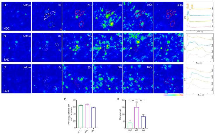 https://cdn.ncbi.nlm.nih.gov/pmc/blobs/e1f5/9101114/14e5ed477928/cells-11-01429-g002.jpg