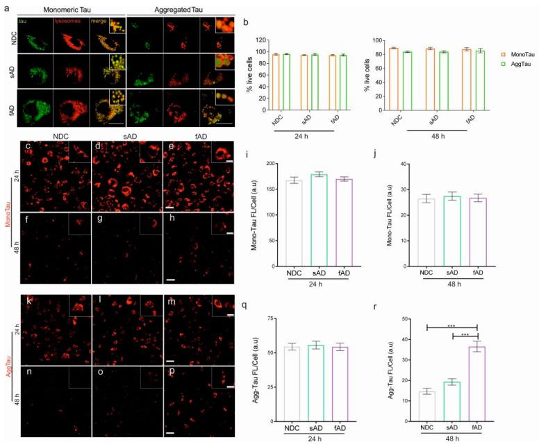 https://cdn.ncbi.nlm.nih.gov/pmc/blobs/e1f5/9101114/ce195ddb3791/cells-11-01429-g004.jpg