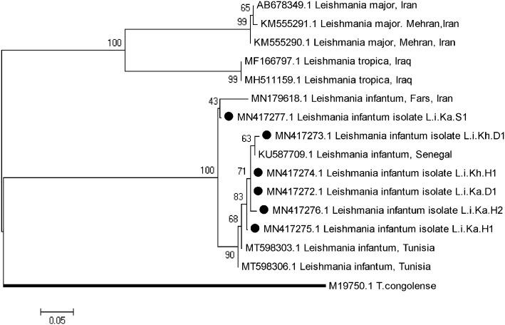 https://cdn.ncbi.nlm.nih.gov/pmc/blobs/e1f7/10936802/a979a7a58f71/pone.0296777.g002.jpg