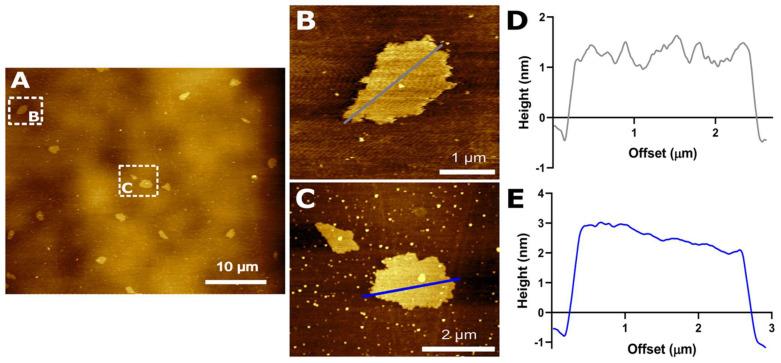https://cdn.ncbi.nlm.nih.gov/pmc/blobs/e1f7/9415408/9b2f71625cce/nanomaterials-12-02857-g002.jpg