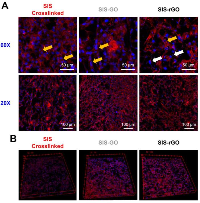 https://cdn.ncbi.nlm.nih.gov/pmc/blobs/e1f7/9415408/9bce8cb56c1c/nanomaterials-12-02857-g007.jpg