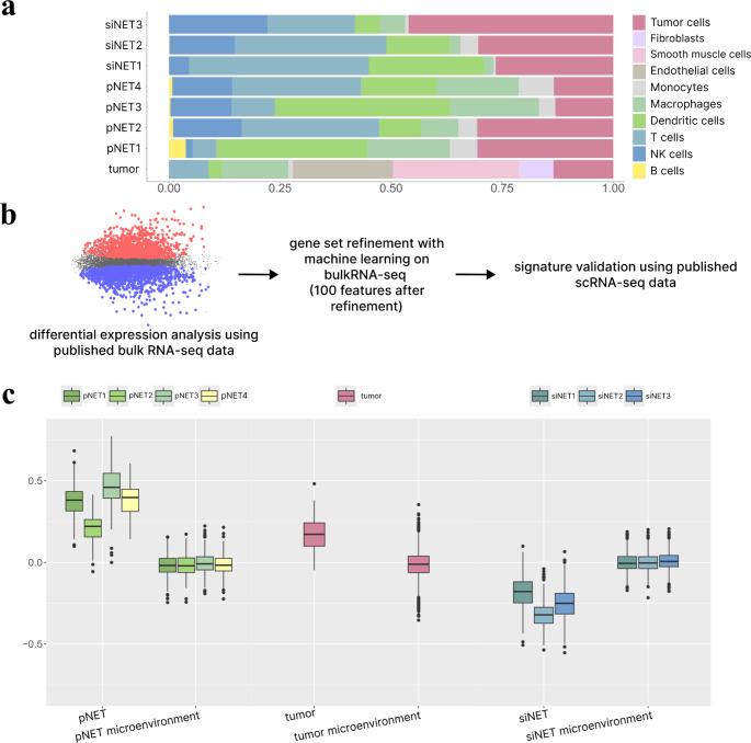 https://cdn.ncbi.nlm.nih.gov/pmc/blobs/e1f8/11688255/5cdd588db12b/432_2024_6071_Fig4_HTML.jpg