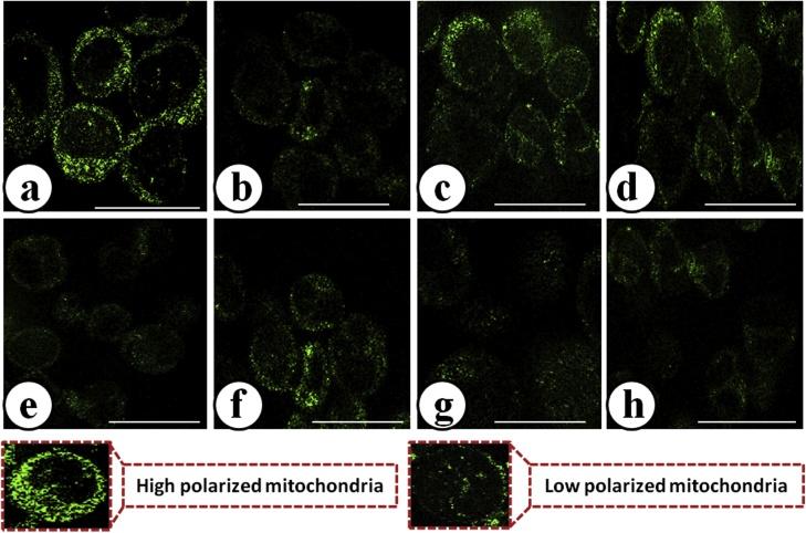 https://cdn.ncbi.nlm.nih.gov/pmc/blobs/e1f9/7063129/1d5f04612e5b/gr6.jpg