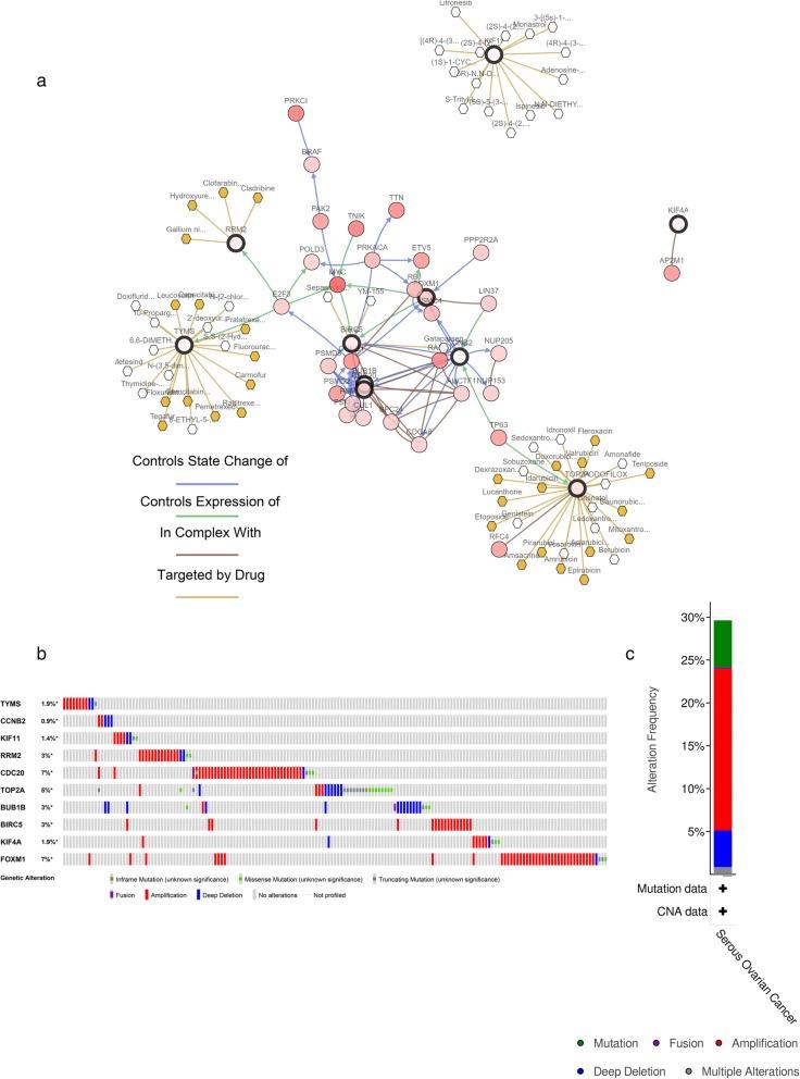 https://cdn.ncbi.nlm.nih.gov/pmc/blobs/e1fa/6986075/5ce20d916ffc/13048_2020_613_Fig5_HTML.jpg