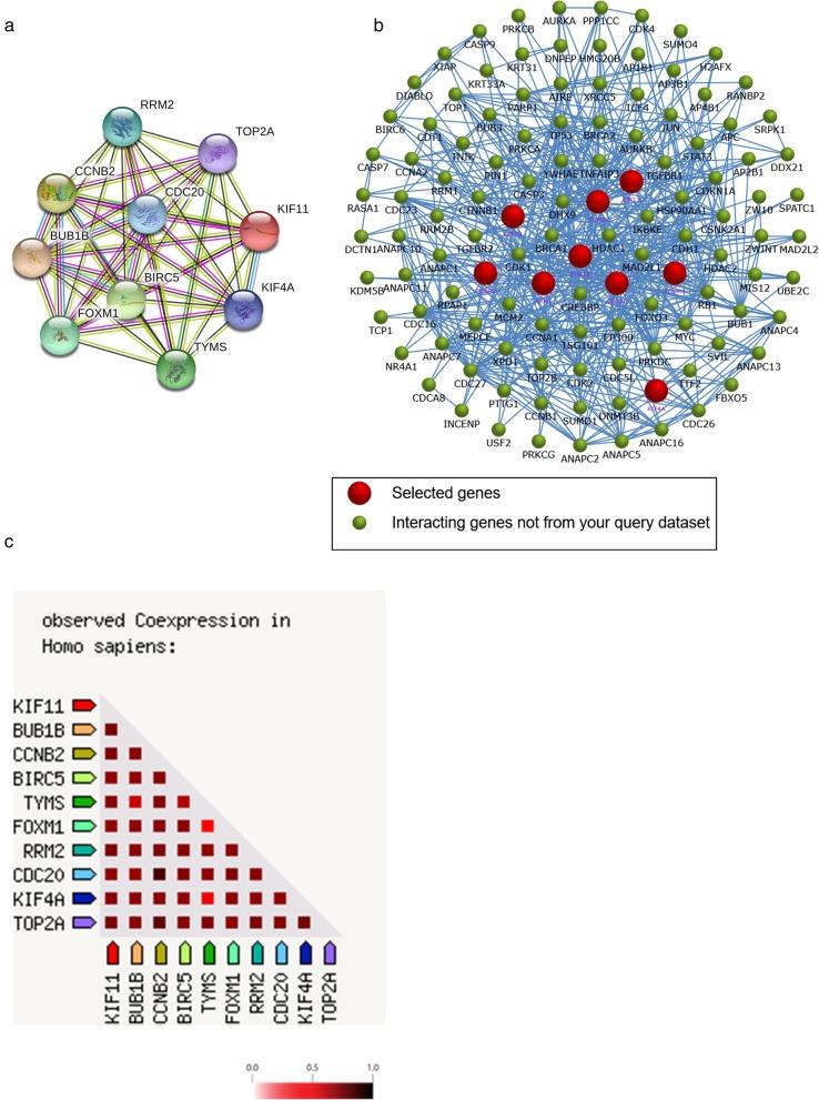 https://cdn.ncbi.nlm.nih.gov/pmc/blobs/e1fa/6986075/a75b67dbc332/13048_2020_613_Fig3_HTML.jpg