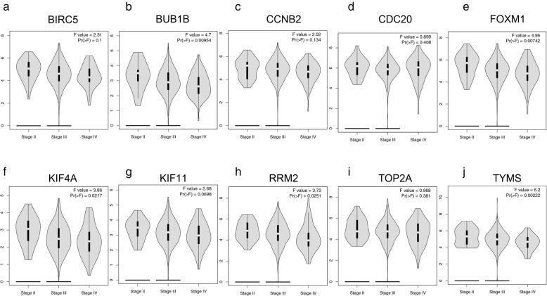 https://cdn.ncbi.nlm.nih.gov/pmc/blobs/e1fa/6986075/f9354a7f1c55/13048_2020_613_Fig7_HTML.jpg