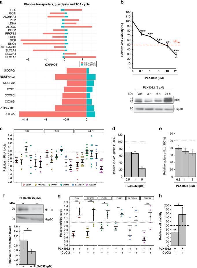 https://cdn.ncbi.nlm.nih.gov/pmc/blobs/e1fb/10338540/802da20faa97/41416_2023_2282_Fig5_HTML.jpg