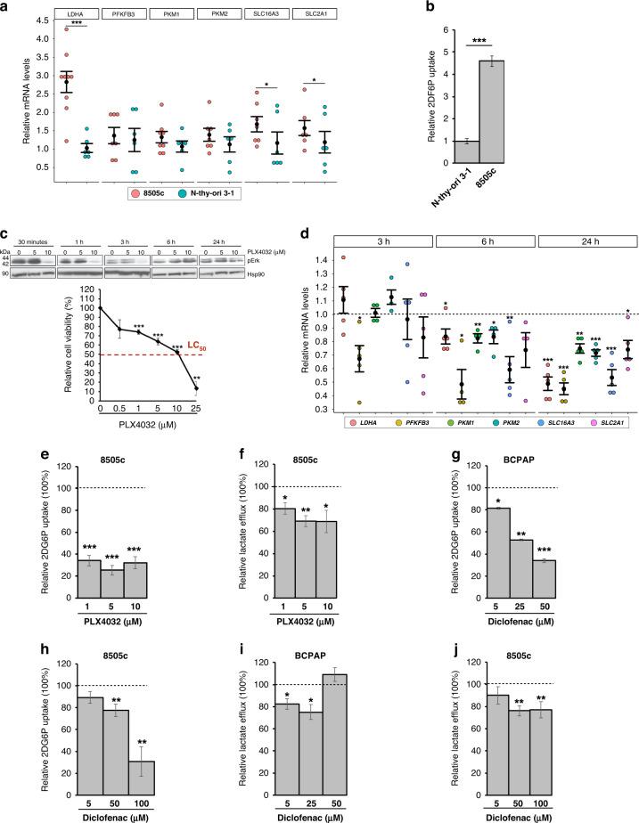 https://cdn.ncbi.nlm.nih.gov/pmc/blobs/e1fb/10338540/b4ff1dec6018/41416_2023_2282_Fig6_HTML.jpg