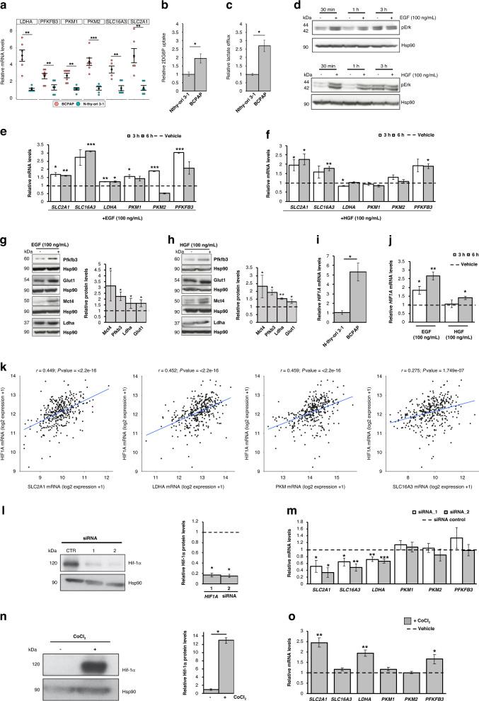 https://cdn.ncbi.nlm.nih.gov/pmc/blobs/e1fb/10338540/c42d27172c34/41416_2023_2282_Fig4_HTML.jpg