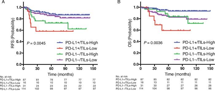 https://cdn.ncbi.nlm.nih.gov/pmc/blobs/e1fc/5362507/bddfad12aeb9/oncotarget-08-15584-g003.jpg
