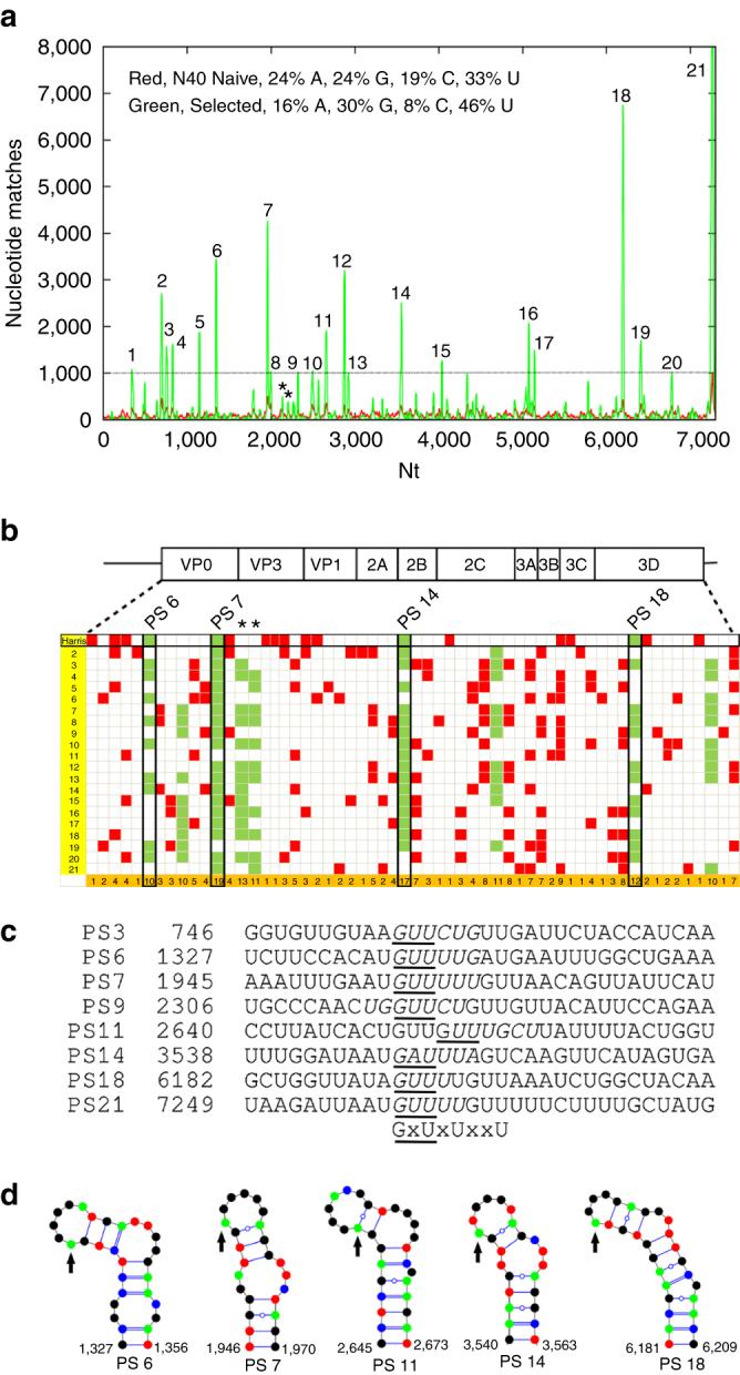 https://cdn.ncbi.nlm.nih.gov/pmc/blobs/e1fd/5431903/3be896176f51/41467_2016_11_Fig2_HTML.jpg