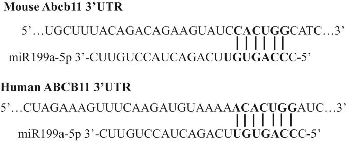 https://cdn.ncbi.nlm.nih.gov/pmc/blobs/e1fd/8665360/24f6331cef4c/gr2.jpg