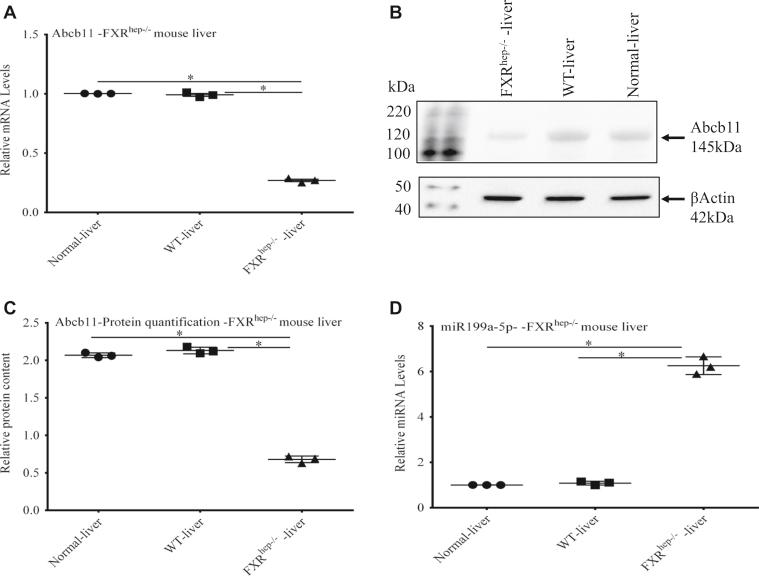https://cdn.ncbi.nlm.nih.gov/pmc/blobs/e1fd/8665360/31db9c1b7abe/gr6.jpg