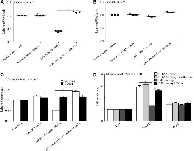 https://cdn.ncbi.nlm.nih.gov/pmc/blobs/e1fd/8665360/38da6c78d7b6/gr11.jpg