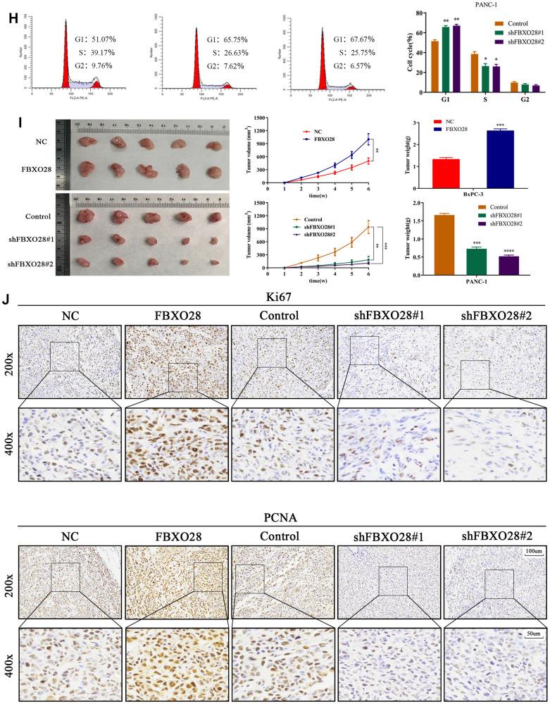 https://cdn.ncbi.nlm.nih.gov/pmc/blobs/e1fe/10333084/6cf14dda02b6/aging-15-204780-g003.jpg