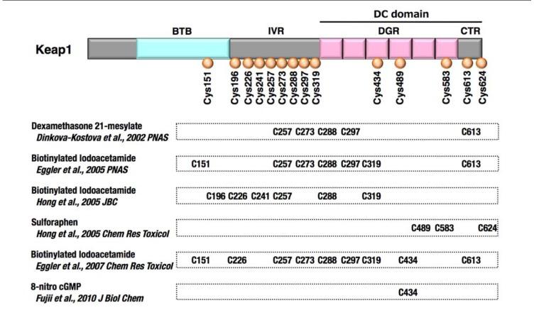 https://cdn.ncbi.nlm.nih.gov/pmc/blobs/e202/3530133/04f17704639b/fonc-02-00200-g002.jpg