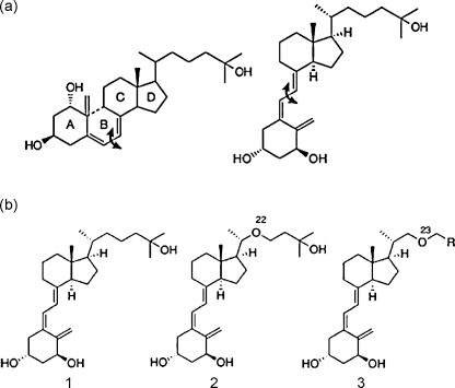 https://cdn.ncbi.nlm.nih.gov/pmc/blobs/e204/2824849/77825f4fb07c/gr1.jpg