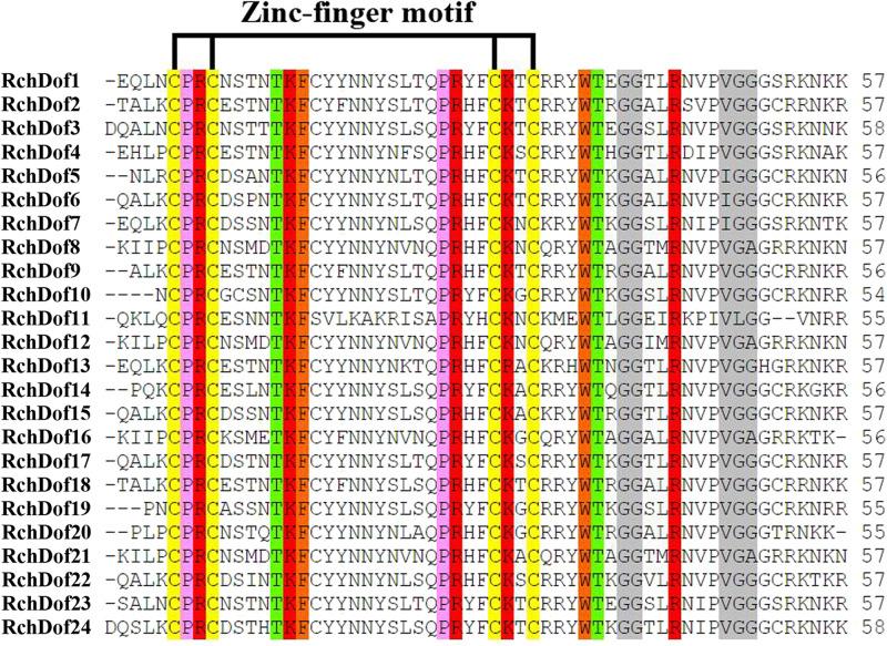 https://cdn.ncbi.nlm.nih.gov/pmc/blobs/e204/7969895/a5f3e740bc37/fgene-12-538733-g001.jpg