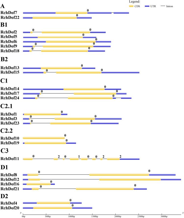 https://cdn.ncbi.nlm.nih.gov/pmc/blobs/e204/7969895/ad81d34a82c5/fgene-12-538733-g004.jpg