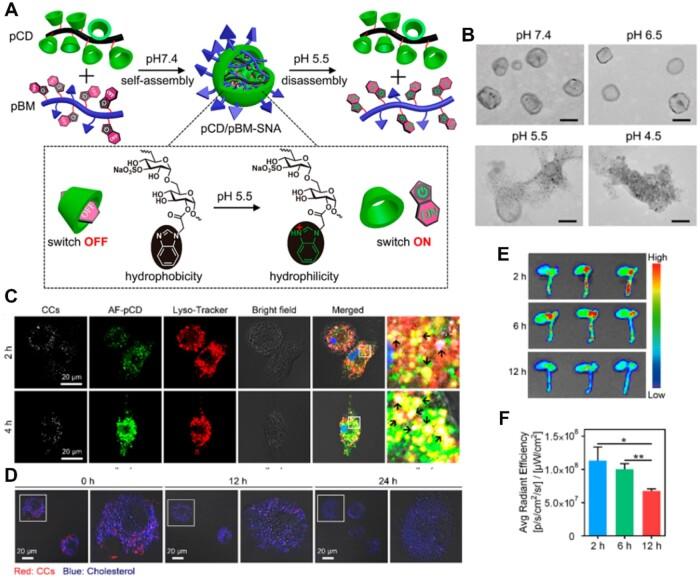 https://cdn.ncbi.nlm.nih.gov/pmc/blobs/e209/11223813/0e77f93911b8/rbae071f9.jpg