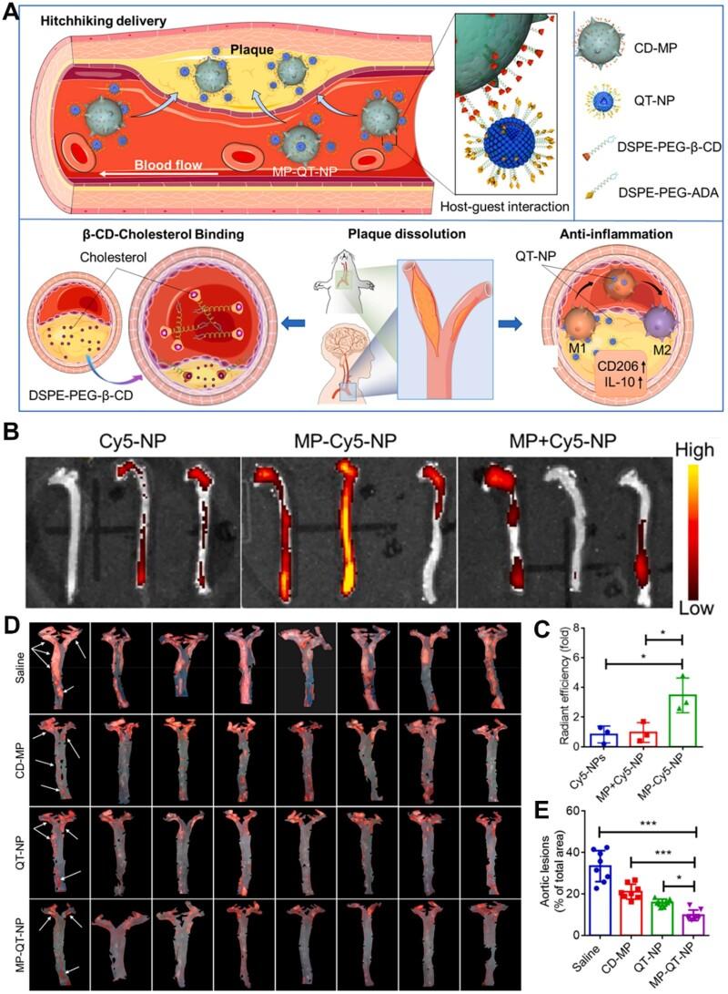 https://cdn.ncbi.nlm.nih.gov/pmc/blobs/e209/11223813/88841c984e2a/rbae071f7.jpg