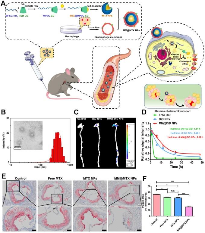https://cdn.ncbi.nlm.nih.gov/pmc/blobs/e209/11223813/ec5ad10d885a/rbae071f6.jpg