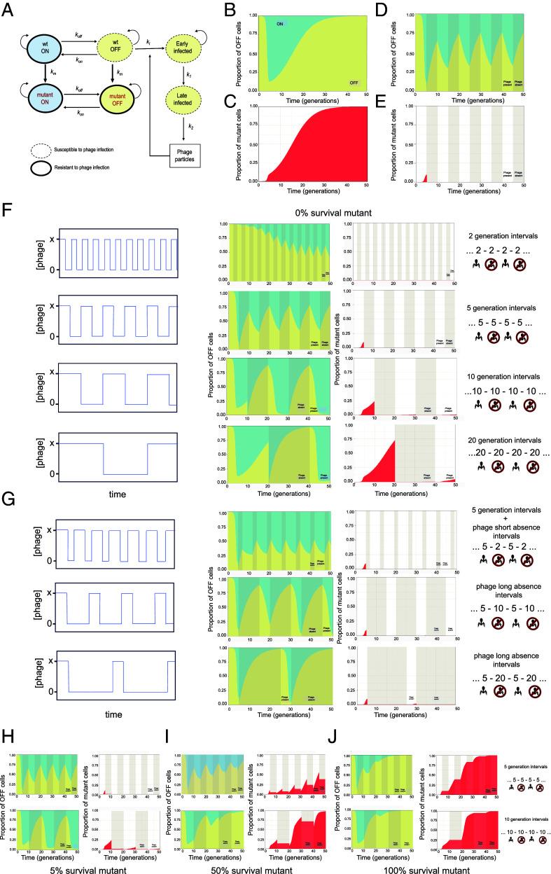 https://cdn.ncbi.nlm.nih.gov/pmc/blobs/e209/11388349/699714d5da62/pnas.2322371121fig03.jpg